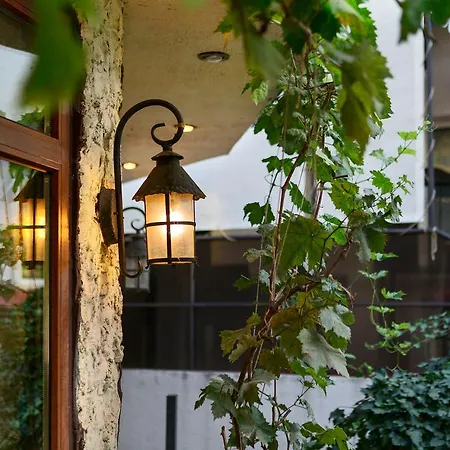 Hotel Shine 3*