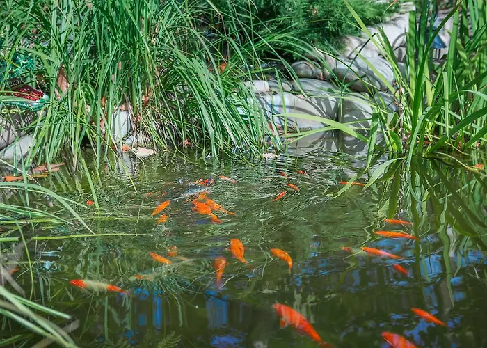 Shine Отель Одесса