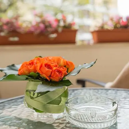 Shine Готель 3*